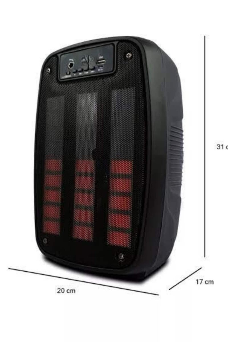 Taşınabilir 6.5 inç LED Bluetooth Kareoke Hoparlör RGB Işıklı Radyolu Taşınabilir 6.5 inç LED Bluetooth Kareoke Hoparlör RGB Işıklı Radyolu