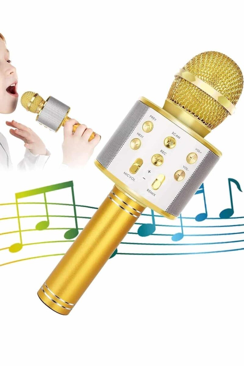 Karaoke Mikrofon Dahili Hoparlörlü Sd-usb-aux Girişli Bluetooth Hoparlör Karaoke Mikrofon Dahili Hoparlörlü Sd-usb-aux Girişli Bluetooth Hoparlör