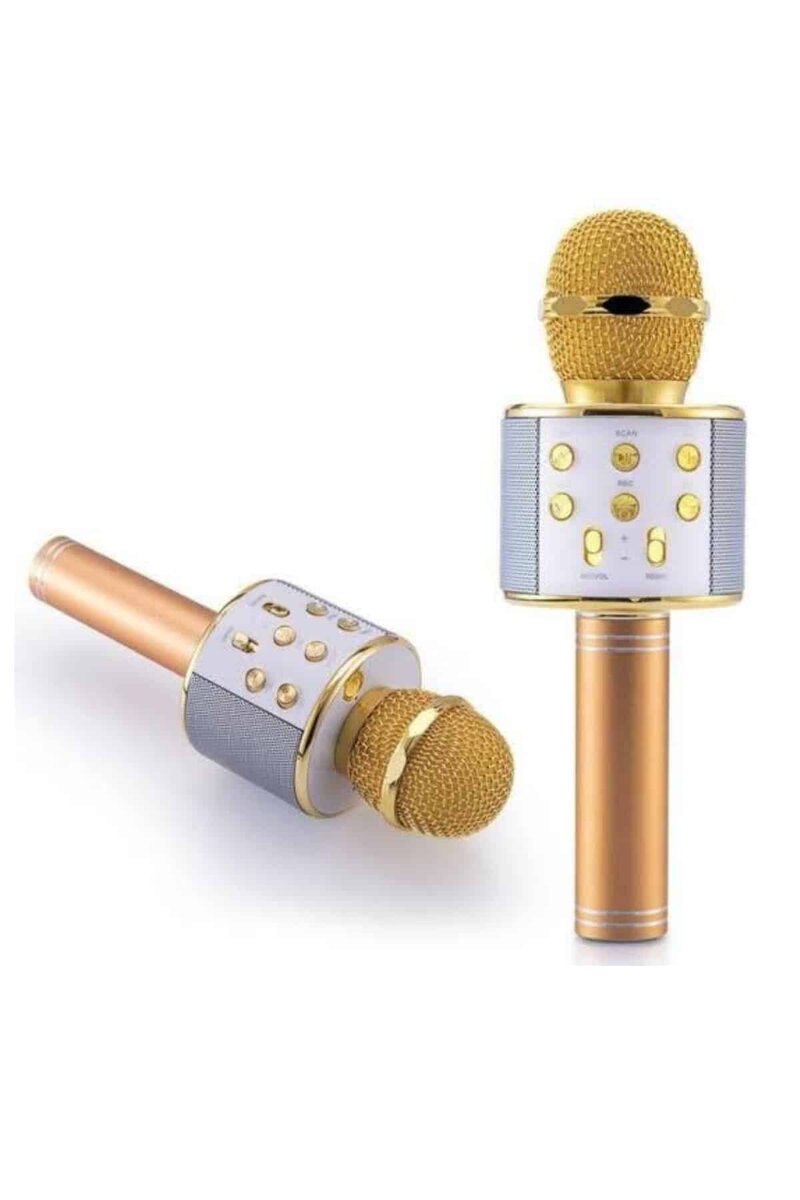Karaoke Mikrofon Dahili Hoparlörlü Sd-usb-aux Girişli Bluetooth Hoparlör Karaoke Mikrofon Dahili Hoparlörlü Sd-usb-aux Girişli Bluetooth Hoparlör
