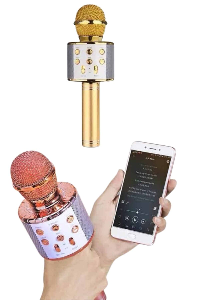 Bluetooth Hoparlör USB AUX SD Kart Kaoroke Mikrofon Uzun Pil Ömrü Bluetooth Hoparlör USB AUX SD Kart Kaoroke Mikrofon Uzun Pil Ömrü