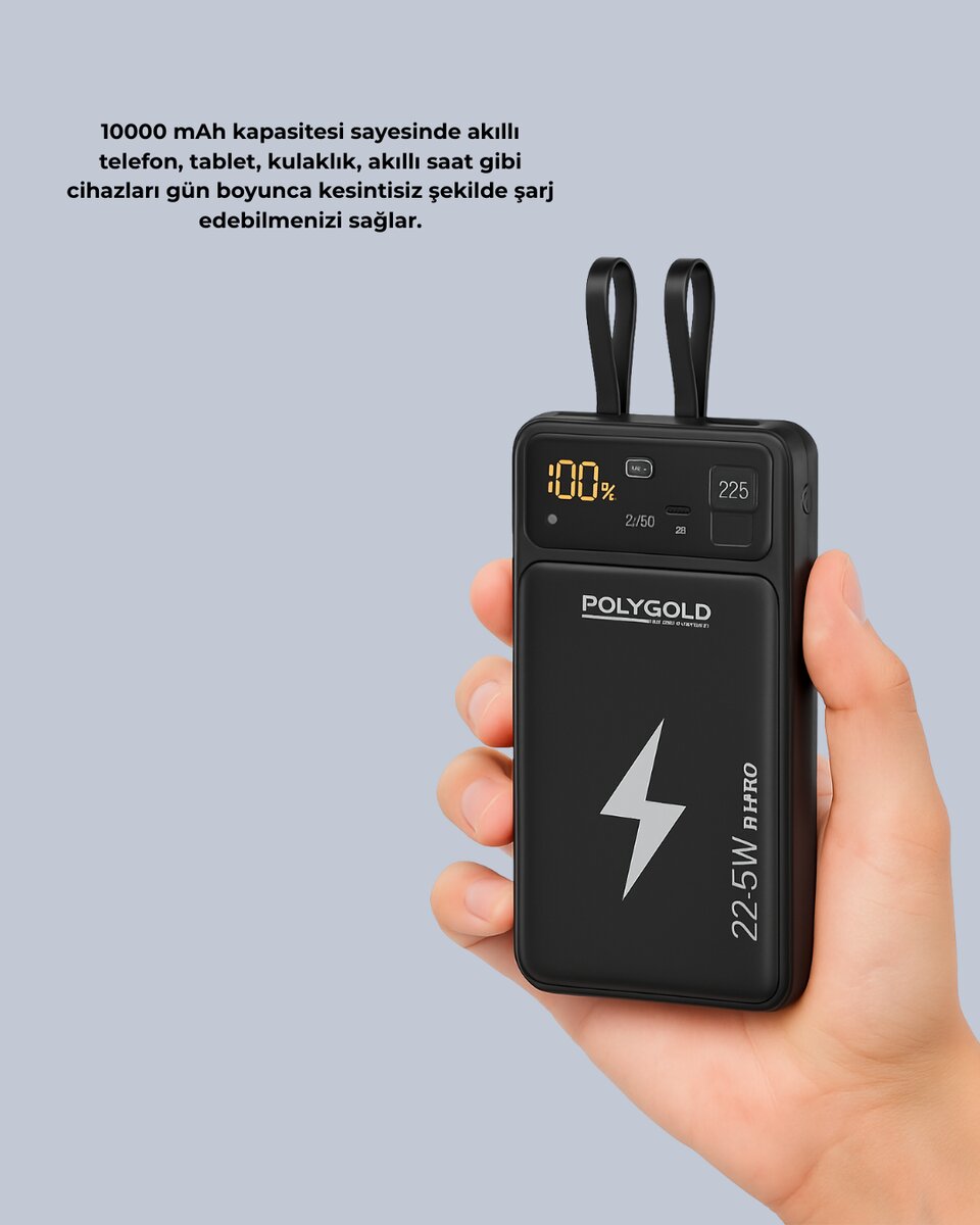 Powerbank Dahili Ekranlı 10000 mAh Çift Kablolu