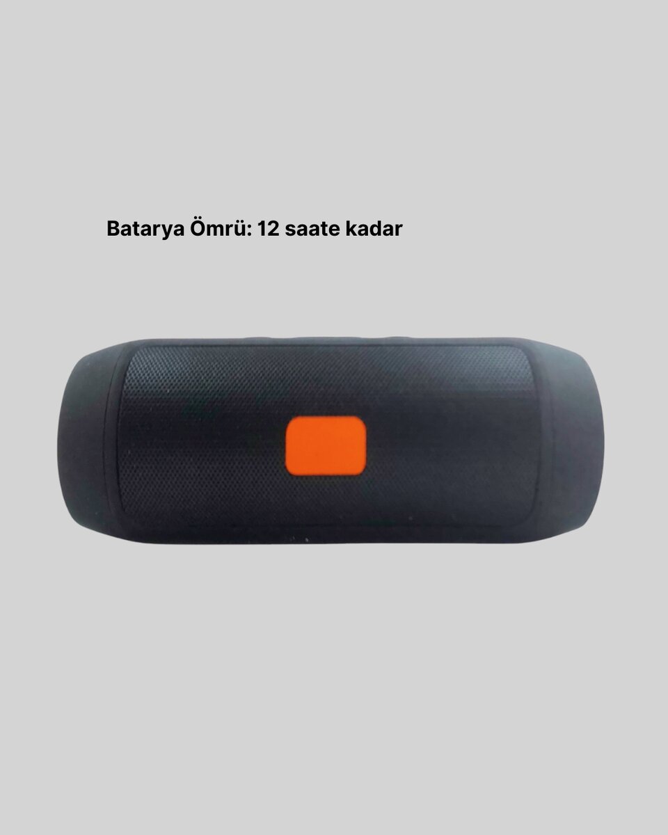 Taşınabilir Kablosuz Hoparlör 2 Woofer 2 Tweeter 12 Saat Oynatma Taşınabilir Kablosuz Hoparlör 2 Woofer 2 Tweeter 12 Saat Oynatma