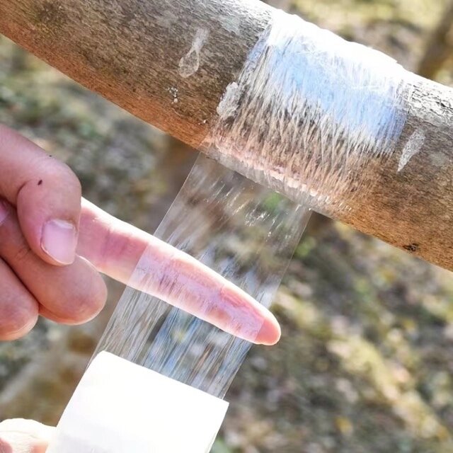 5 Cm Aşı Streçi 200 Metre - Profesyonel Fidan Ve Ağaç Aşı Bandı (yüksek Esnek) 5 Cm Aşı Streçi 200 Metre - Profesyonel Fidan Ve Ağaç Aşı Bandı (yüksek Esnek)