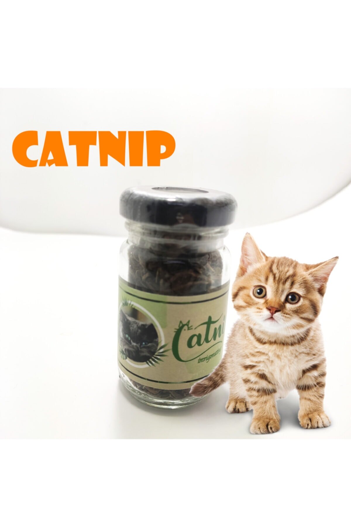 CLZ174 Catnip Doğal Kedi Otu - Kedi Nanesi