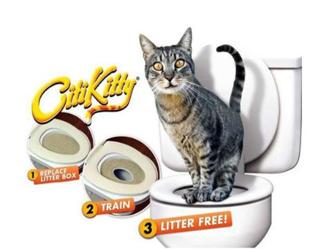 CLZ174 Citikitty Kedi Tuvalet Eğitim Seti