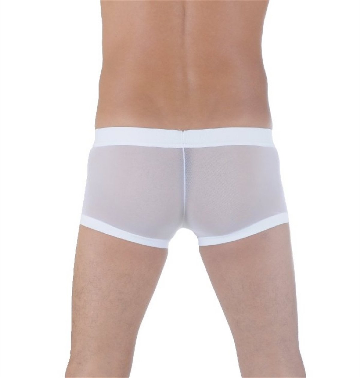 Transparan Boxer