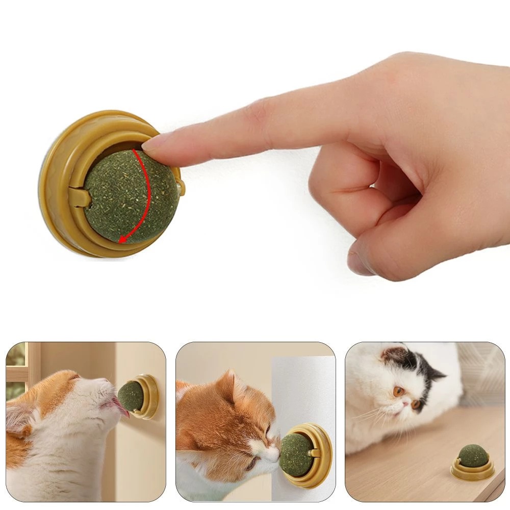 CLZ174 Duvara Yapışan Dönen Kedi Nanesi Cat Mint Oyun Topu Doğal Kedi Oyuncağı