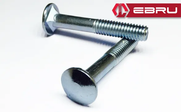 Ebru Kasa Civata 1/4x40 - 200 Adet
