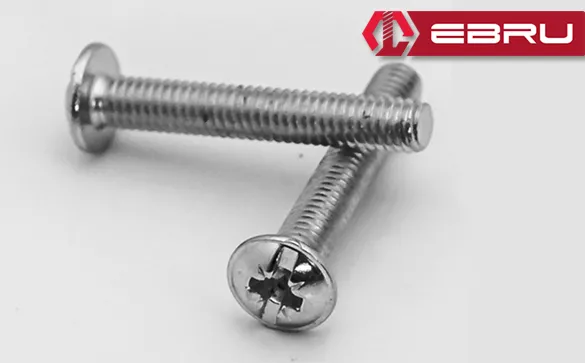 Ebru Yuvarlak Yıldız Başlı RYSB Kulp Vidası, Civata M4x12 - 500 Adet