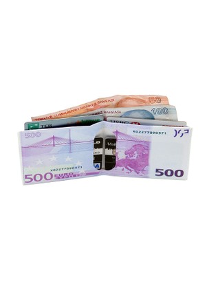 Euro Şeklinde Cüzdan (CLZ)