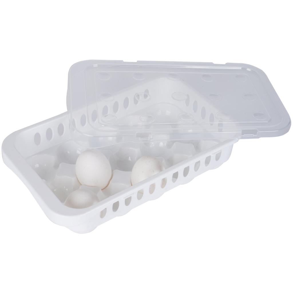 CLZ174 Hijyenik Yumurta Saklama Kabı 15 Bölmeli Kapaklı