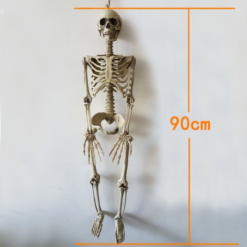 İnsan Vücudu İskelet Kemik Dekor 90 cm (CLZ)