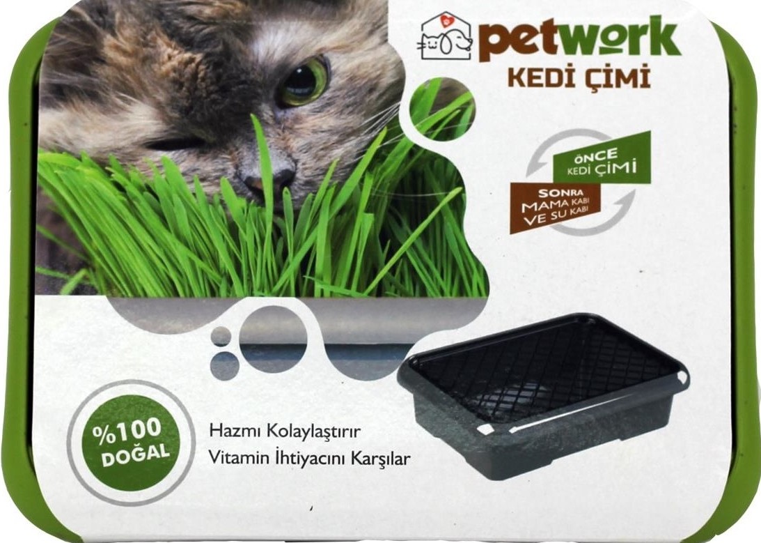 Kedi Çimi  - Mama Kabı / Su Kabı Hediyeli (CLZ)