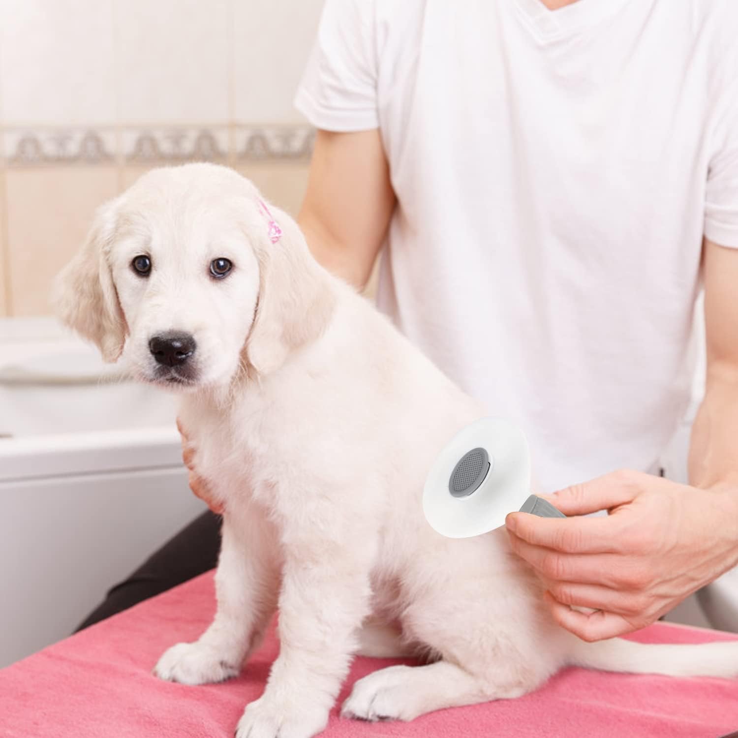 Kedi Köpek Tüy Toplayıcı Pet Tarak 20 cm Kedi Köpek Tüy Toplayıcı Pet Tarak 20 cm