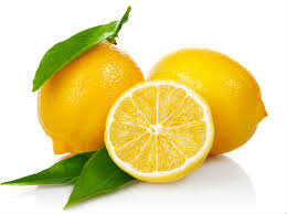 Limon Bonesi / 500 Adet / Bitki Çayı Bonesi Limon Bonesi / 500 Adet / Bitki Çayı Bonesi