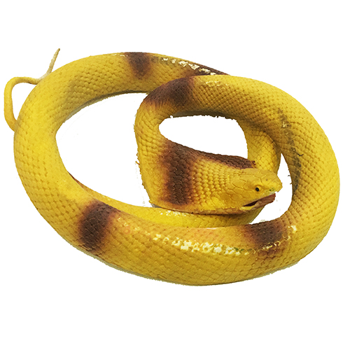 Sarı Renk Yassı Kafa Yumuşak Gerçekçi Kobra Yılan 95 cm (CLZ)