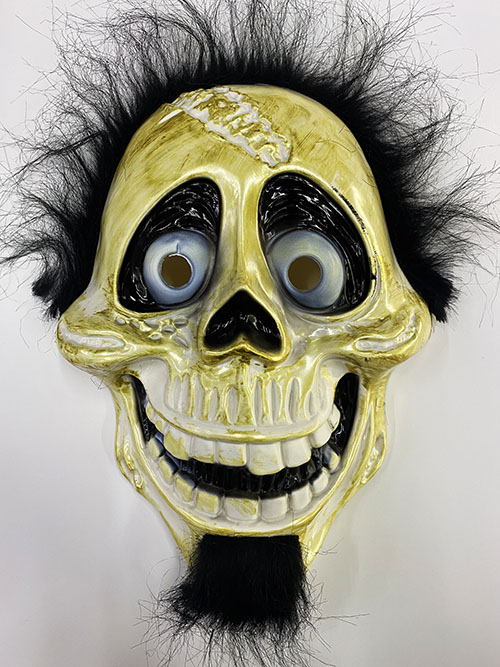 Siyah Peluş Saçlı Coco Hector Rivera Maskesi 25x23 cm (CLZ)