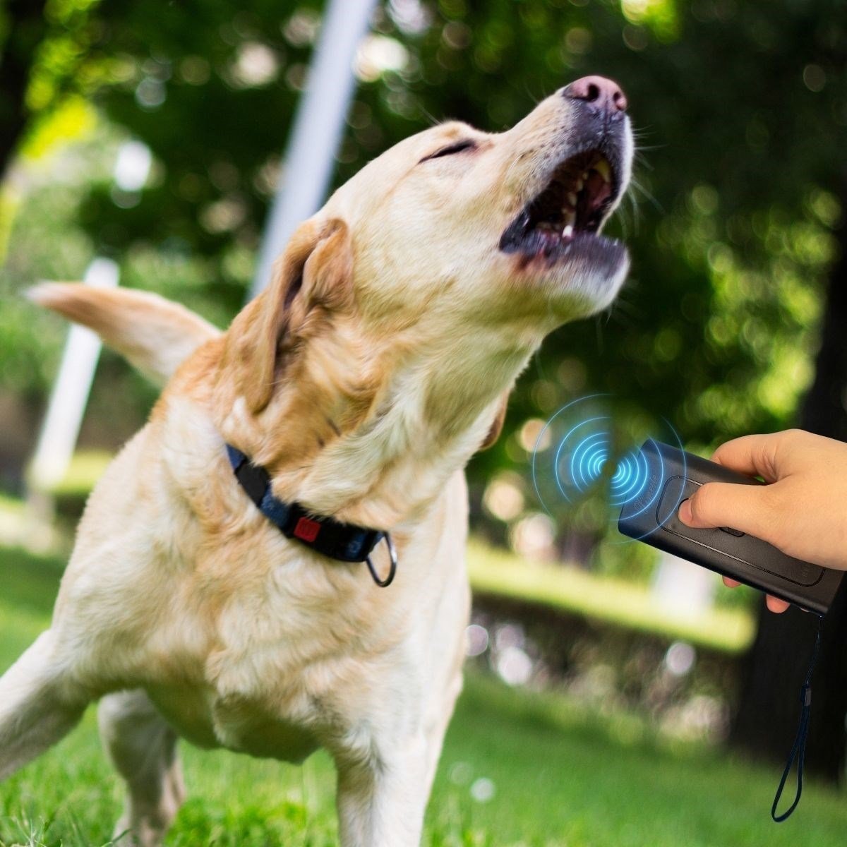 Ultrasonik Zarar Vermeyen Köpek Uzaklaştırıcı ve Eğitici Cihaz Ultrasonik Zarar Vermeyen Köpek Uzaklaştırıcı ve Eğitici Cihaz