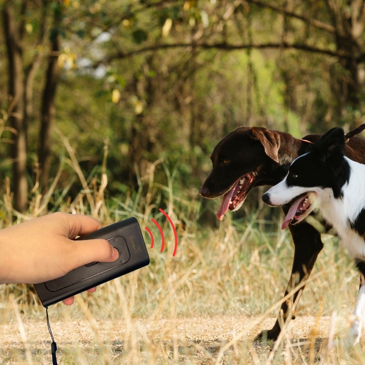 Ultrasonik Zarar Vermeyen Köpek Uzaklaştırıcı ve Eğitici Cihaz Ultrasonik Zarar Vermeyen Köpek Uzaklaştırıcı ve Eğitici Cihaz