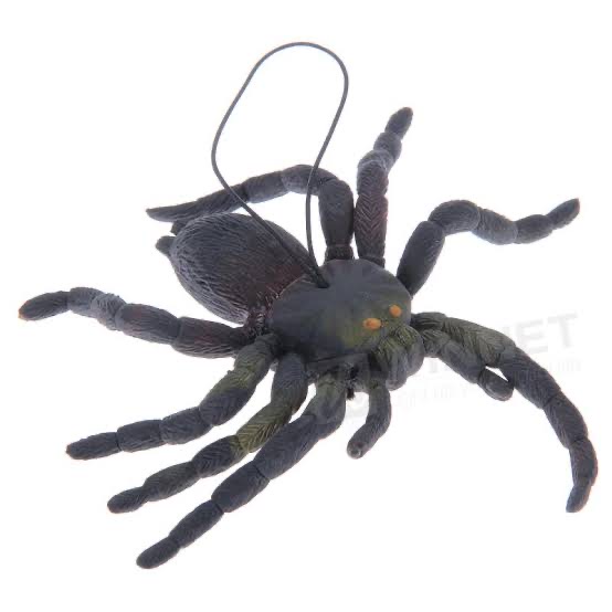 Yumuşak Plastik Malzemeden İmal Karışık Renk Tarantula Örümcek 6 Adet 13x13 cm (CLZ)