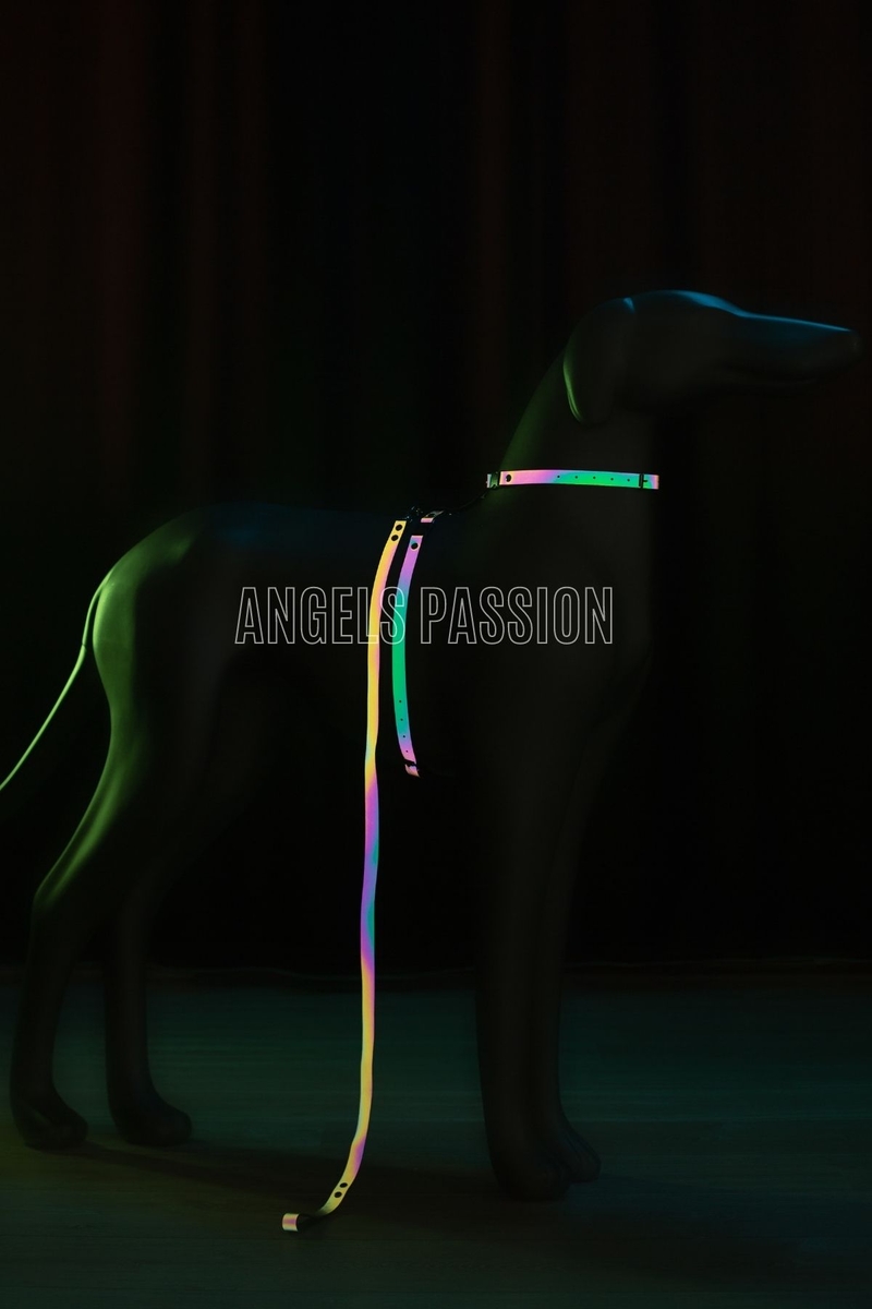 CLZ41 Karanlıkta Renkli Parlayan Şık Köpek Tasma, Özel Tasarım Reflektörlü Köpek Tasması - Ürün Rengi:Rainbow Reflektör