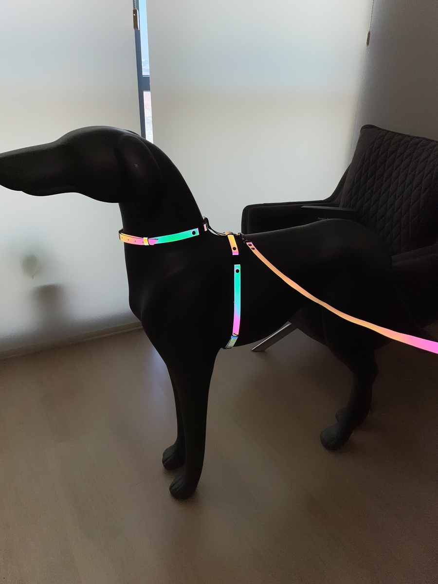 CLZ41 Karanlıkta Renkli Parlayan Şık Köpek Tasma, Özel Tasarım Reflektörlü Köpek Tasması - Ürün Rengi:Rainbow Reflektör