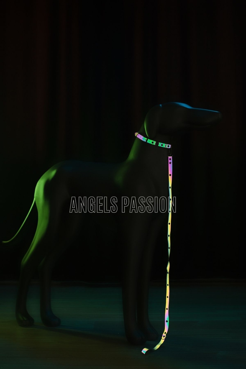 CLZ41 Karanlıkta Renkli Yansıma Yapan Reflektörlü Köpek Tasması - Ürün Rengi:Rainbow Reflektör