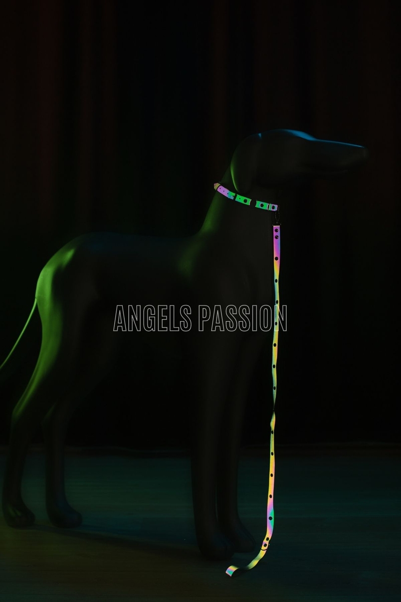 CLZ41 Karanlıkta Renkli Yansıma Yapan Reflektörlü Köpek Tasması - Ürün Rengi:Rainbow Reflektör