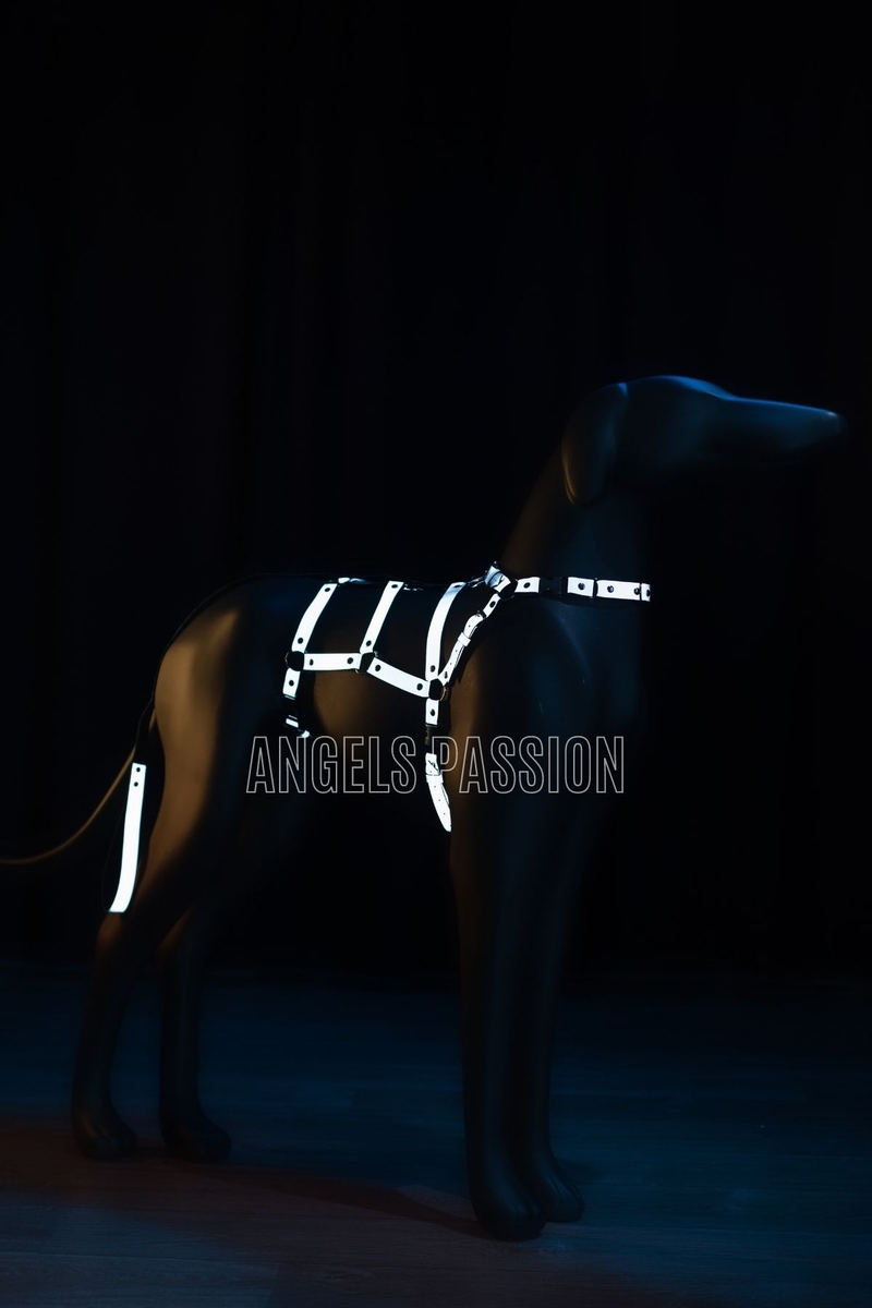 CLZ41 Karanlıkta Yansıyan, Reflektörlü Köpek Vücut HarnessÖzel Tasarım Köpek Tasması - Ürün Rengi:Beyaz