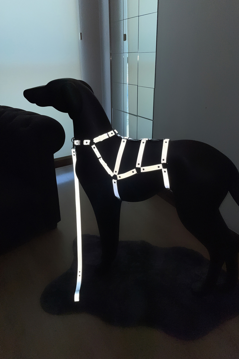 CLZ41 Karanlıkta Yansıyan, Reflektörlü Köpek Vücut HarnessÖzel Tasarım Köpek Tasması - Ürün Rengi:Beyaz