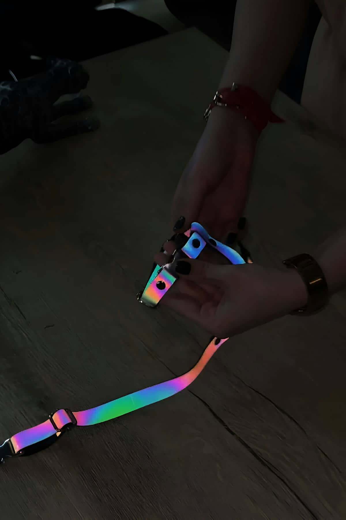 CLZ41 Kedi Reflektörlü Harness Göğüs Ve Gezdirme Seti - Ürün Rengi:Rainbow Reflektör