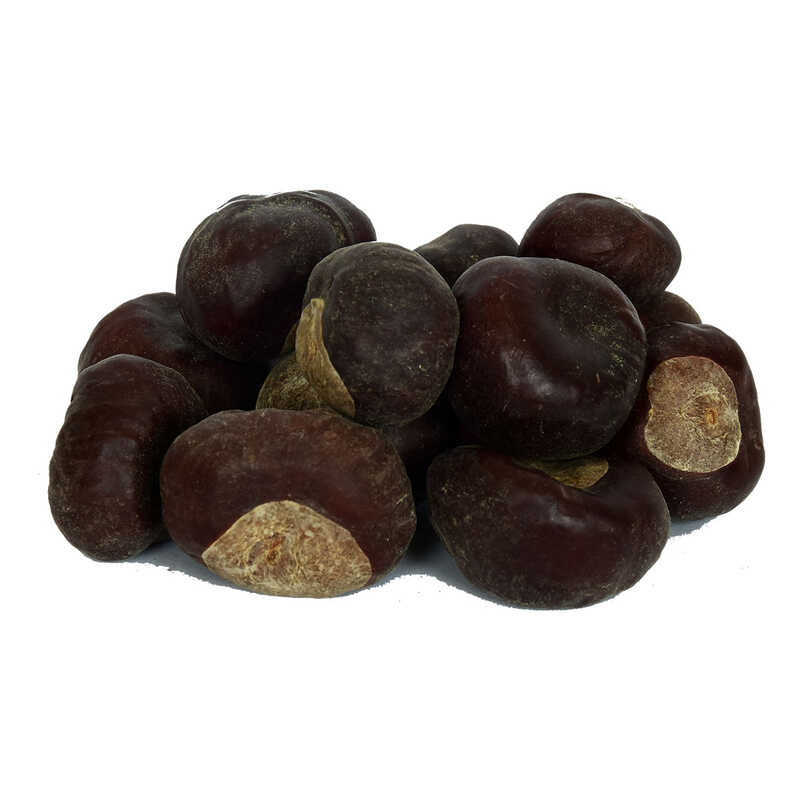 At Kestanesi Meyvesi Doğal 1000 Gr Paket At Kestanesi Meyvesi Doğal 1000 Gr Paket