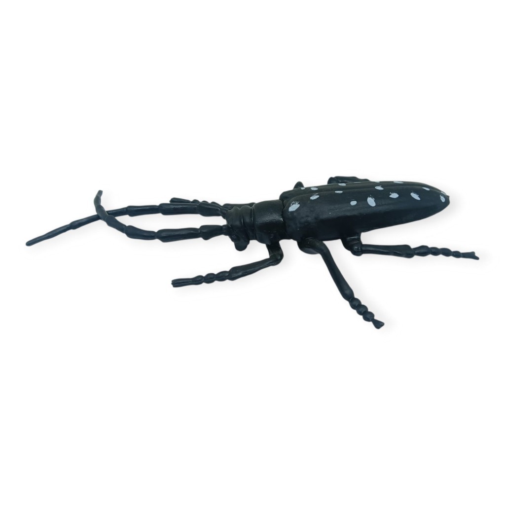 Böcek Figürleri - Gerçekçi Figür - Turunçgil Uzun Boynuzlu Böceği 18 cm - 1 ADET Böcek Figürleri - Gerçekçi Figür - Turunçgil Uzun Boynuzlu Böceği 18 cm - 1 ADET