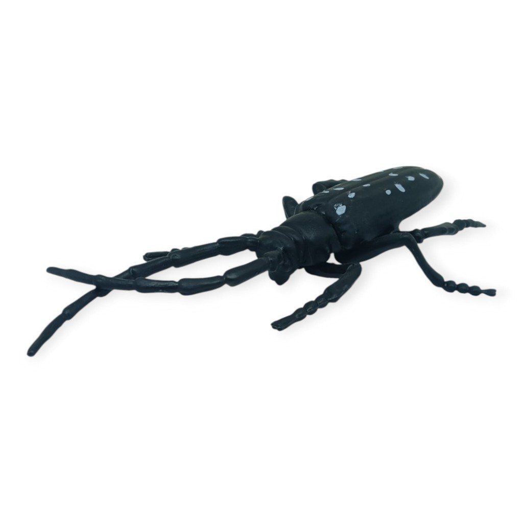 Böcek Figürleri - Gerçekçi Figür - Turunçgil Uzun Boynuzlu Böceği 18 cm - 1 ADET Böcek Figürleri - Gerçekçi Figür - Turunçgil Uzun Boynuzlu Böceği 18 cm - 1 ADET