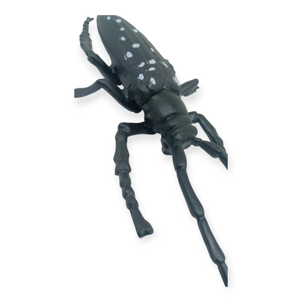 Böcek Figürleri - Gerçekçi Figür - Turunçgil Uzun Boynuzlu Böceği 18 cm - 1 ADET Böcek Figürleri - Gerçekçi Figür - Turunçgil Uzun Boynuzlu Böceği 18 cm - 1 ADET