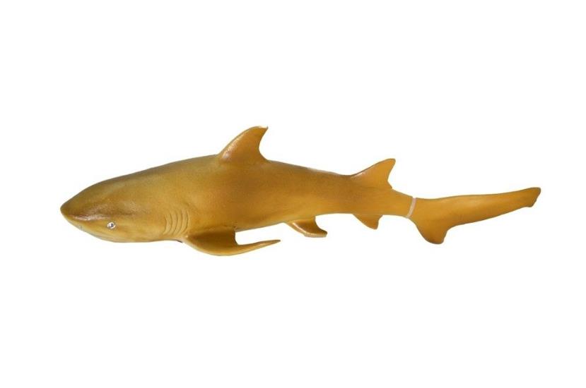 CLZ505 Deniz Hayvanları Serisi Köpekbalığı
