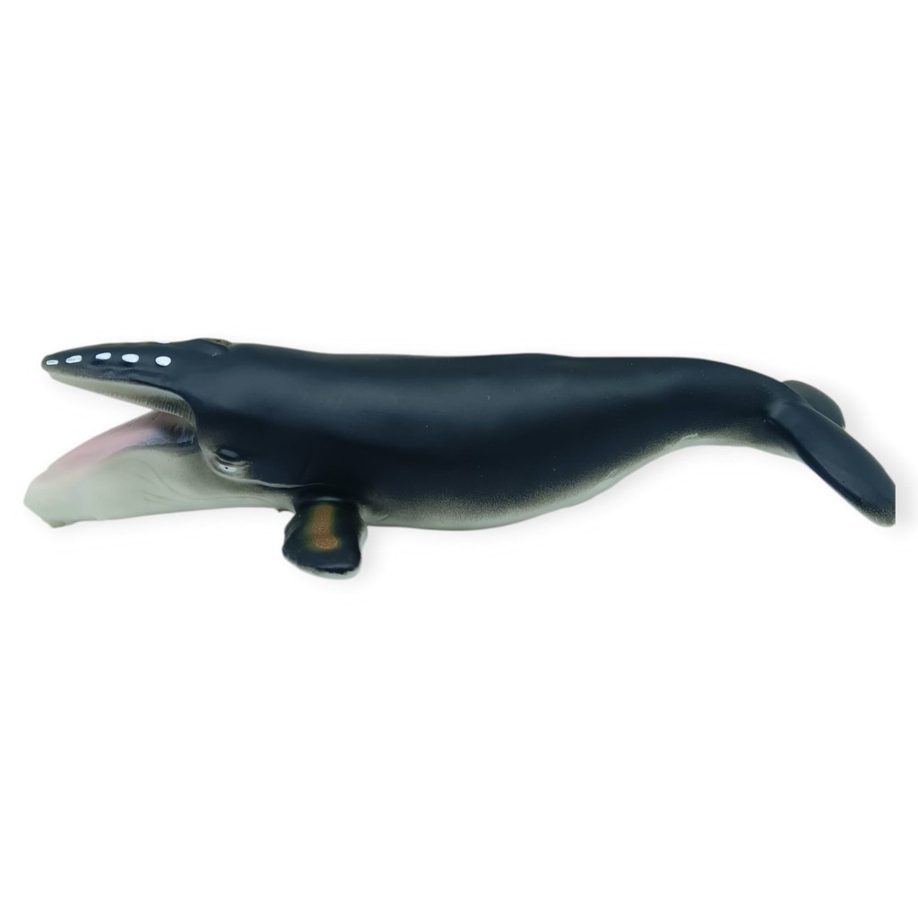 Deniz Hayvanları Serisi - Kambur Balina 30 cm - 1 ADET Deniz Hayvanları Serisi - Kambur Balina 30 cm - 1 ADET