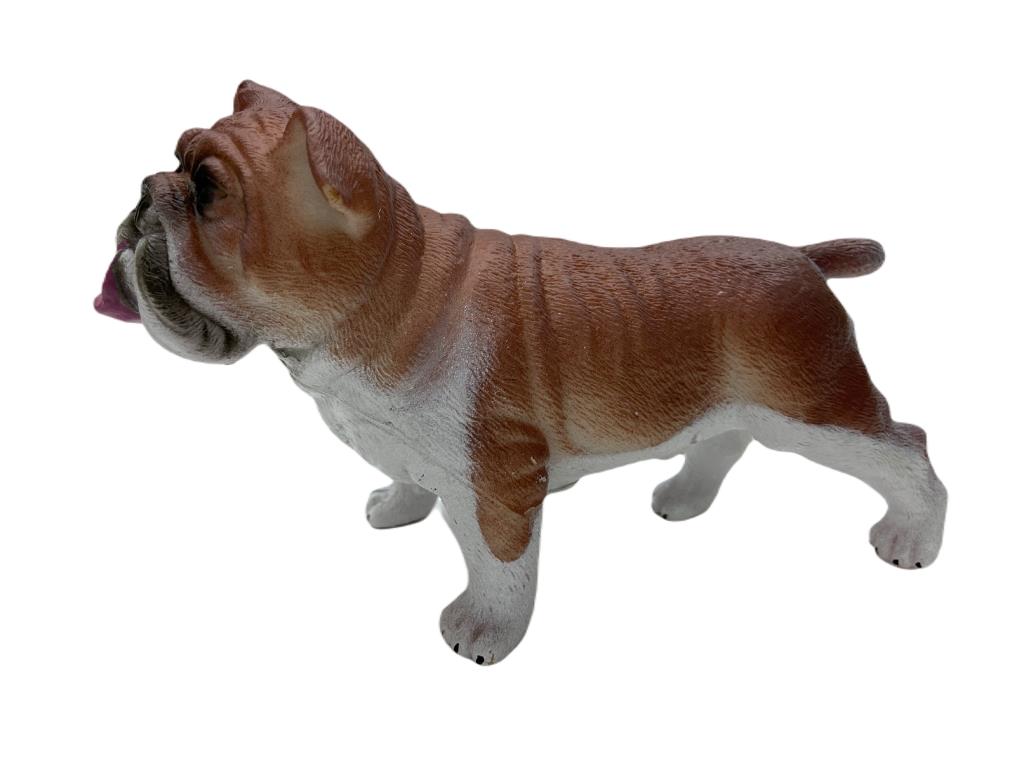 Köpekler - Amerikan Bulldog Cinsi Köpek  - 1 ADET