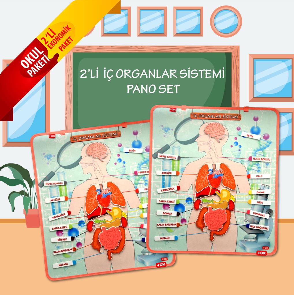 CLZ247 2 Set - 52 Parça  İç Organlar Sistemi Keçe Duvar Panoları , Eğitici Oyuncak