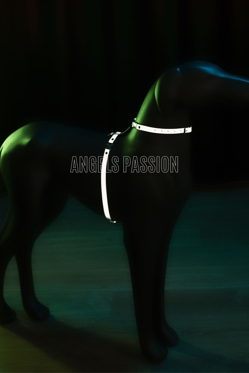 CLZ41 Reflektörlü Göğüs ve Boyun Köpek TasmasıAyarlanabilir Köpek Harness - Ürün Rengi:Beyaz