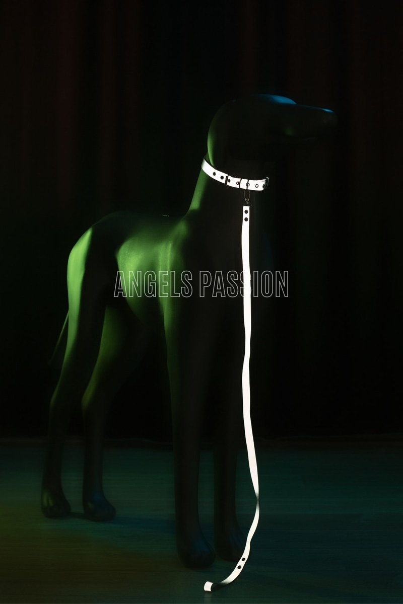 CLZ41 Reflektörlü Köpek Gezdirme Tasması, Karanlıkta Parlayan Pet Tasma - Ürün Rengi:Beyaz