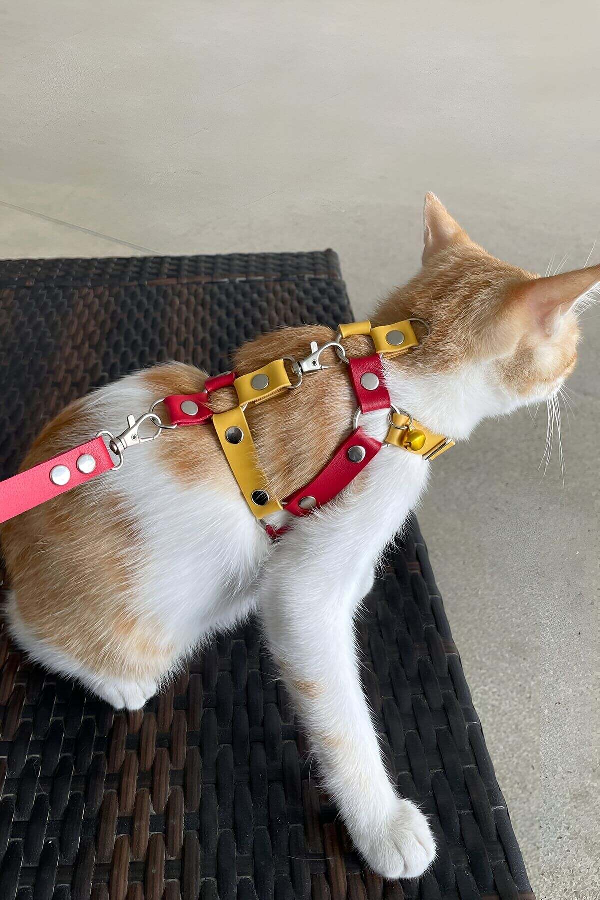 CLZ41 Sarı Kırmızı Fanatik Kedi Göğüs Tasması, Fanatik Kedi Gezdirme Tasması - Ürün Rengi: