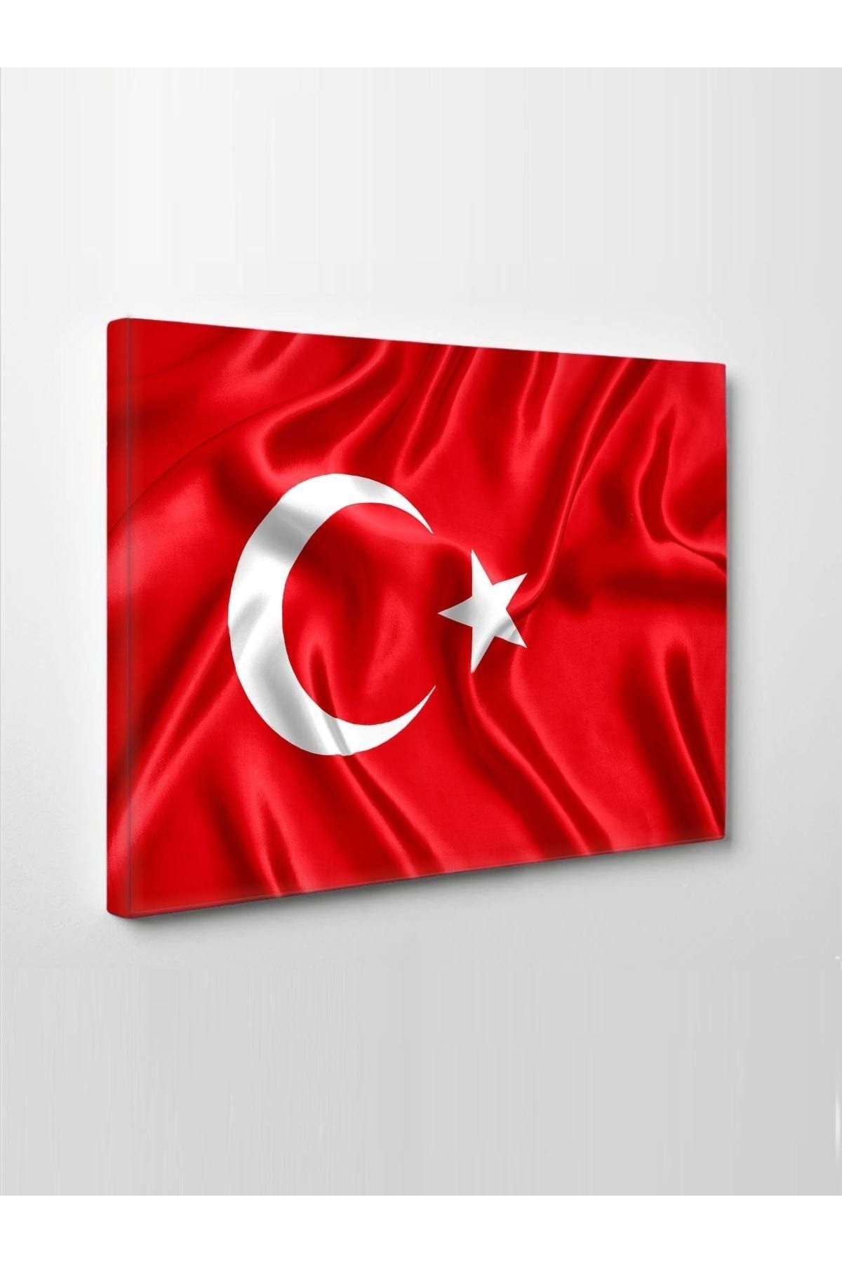 CLZ104 Kanvas Tablo Led Işıklı Türk Bayrağı (al Bayrak)   (50 x 35) cm