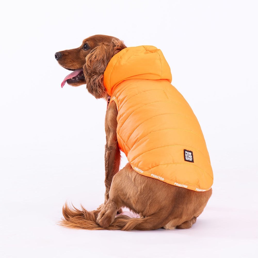 Neon Orange Railway Vest Köpek Montu Medium 24x26x41 cm Neon Orange Railway Vest Köpek Montu Medium 24x26x41 cm