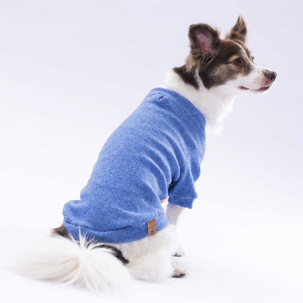Blue Merino Sweat X Large 34X38X55 cm Blue Merino Sweat X Large 34X38X55 cm