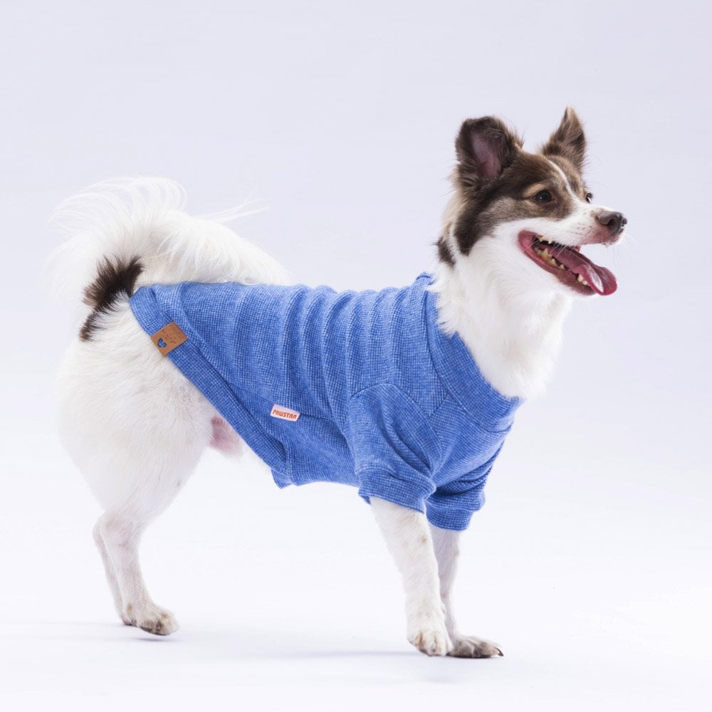 Blue Merino Sweat X Large 34X38X55 cm Blue Merino Sweat X Large 34X38X55 cm