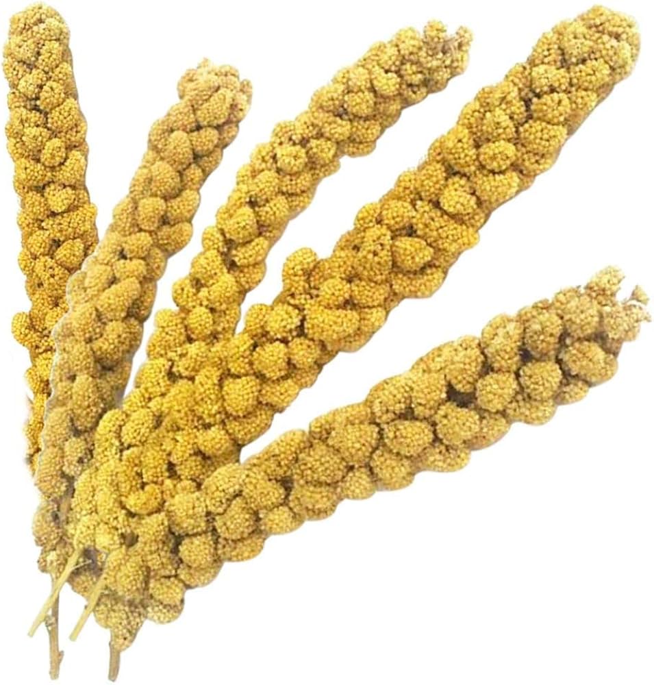 Vitaking Kuşlar İçin Doğal Sarı Dal Darı 100 gr Vitaking Kuşlar İçin Doğal Sarı Dal Darı 100 gr