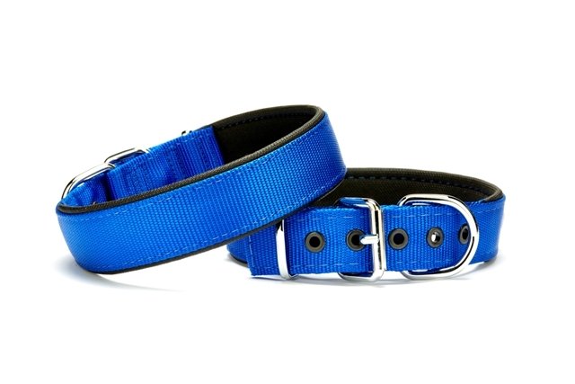 CLZ205  Softlu Köpek Boyun Tasması 1,5 cm x 30 cm Mavi
