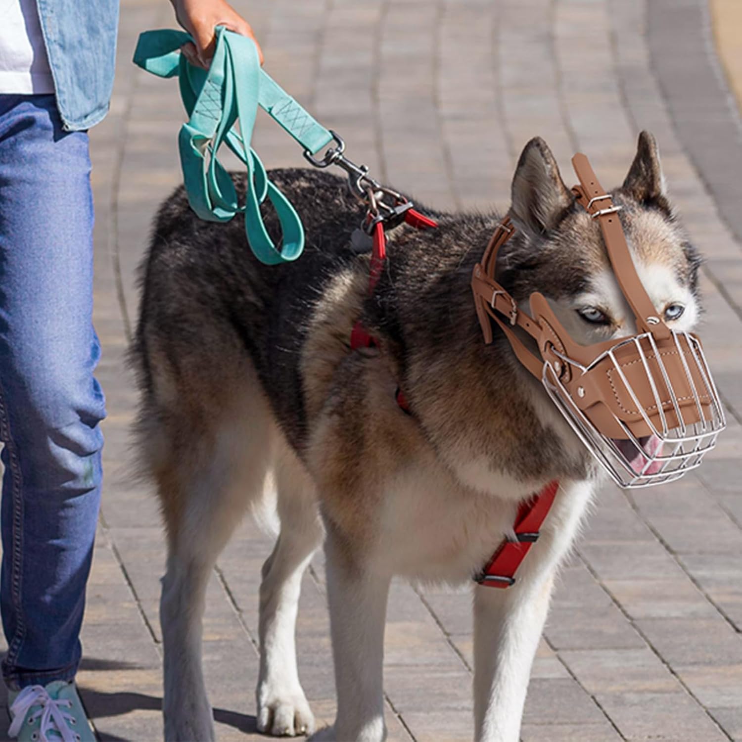 Karamel Metal Deri Köpek Ağızlığı M 33 cm