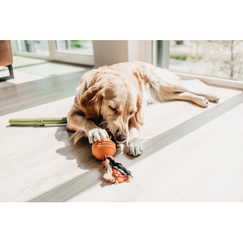 İpli Turuncu Top Köpek Oyuncak 31,8x7,9x7,9 cm İpli Turuncu Top Köpek Oyuncak 31,8x7,9x7,9 cm